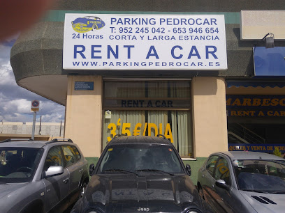 Parking Pedrocar