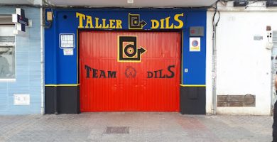 Taller Dils